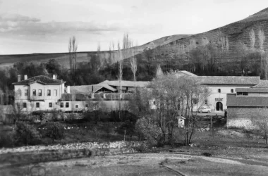 hatap-1951 hatap-1951