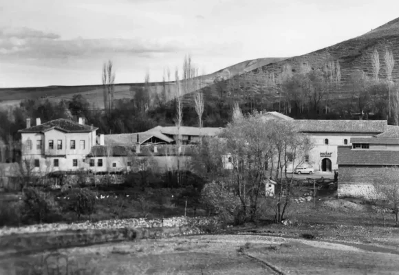 hatap-1951 hatap-1951