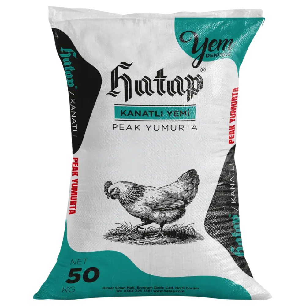 kanatli-pik-yumurta