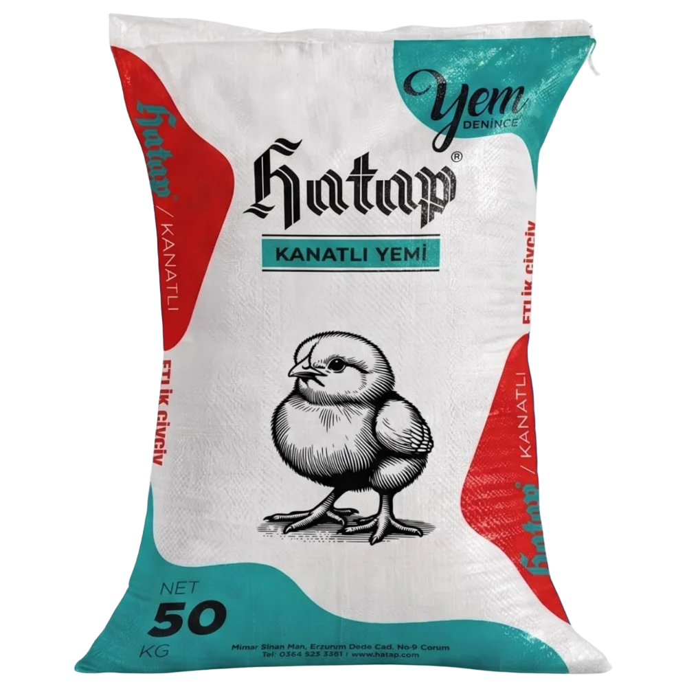 etlik-civciv